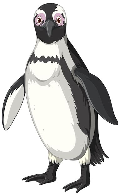 Dibujos De Pinguinos Animados Para Colorear Vsun