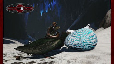 Stealing Wyvern Eggs With The Kamikaze Strategy Ark Survival Evolved