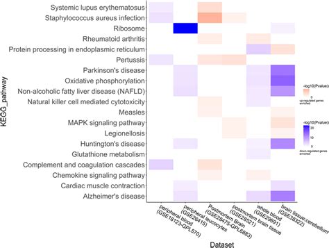 Heat Map For The Enriched Kegg Pathways Functional Enrichment Analysis