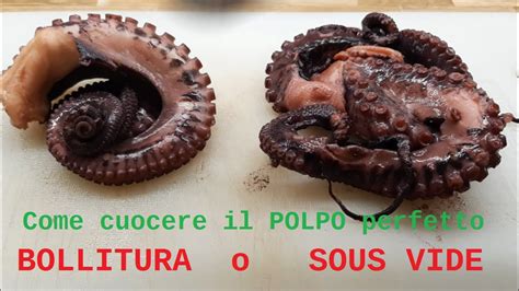 Come Cuocere Il Polpo Perfetto Cbt E Bollitura A Confronto Sous