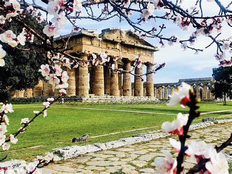 Domeniche Gratuite Al Museo Vivi Un Emozionante Passeggiata Tra I