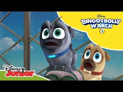 Sprytne Psiaki Bingo I Rolly W Akcji Disney Junior Polska YouTube