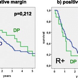 Kaplan Meier Plot Survival Analysis Of 397 Patients After Pancreatic