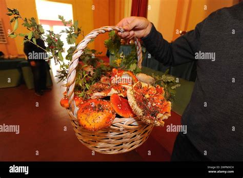 Raccolta Cibo Hi Res Stock Photography And Images Alamy