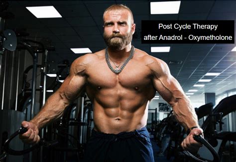 Post Cycle Therapy After Anadrol Oxymetholone Cainsandabels