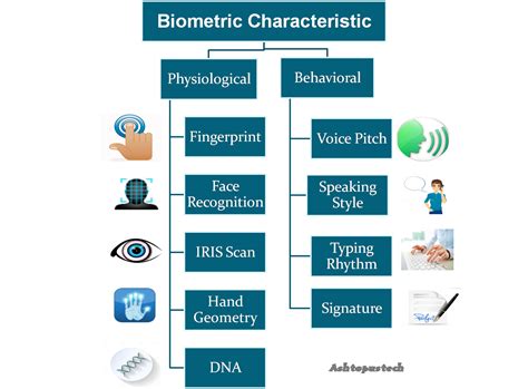 A Biometric Identification System Identifying People By Recognizing