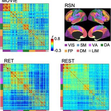 Correlation Matrices In Movie Ret And Rest Aligned With Yeo S Seven