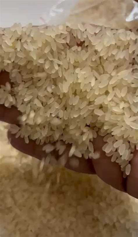 Sona Masoori Rice Wholesale Price Mandi Rate For Sona Masuri Rice