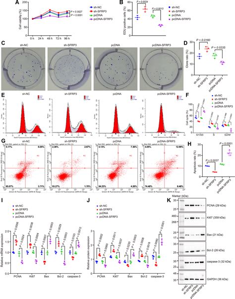 Overexpression Of Sfrp Blocks Hepg Cell Proliferation But Promotes