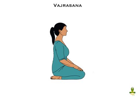 Vajrasana Thunderbolt Pose Steps Cautions Benefits Finess Yoga