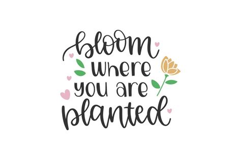 Bloom Where You Are Planted Svg Cut File