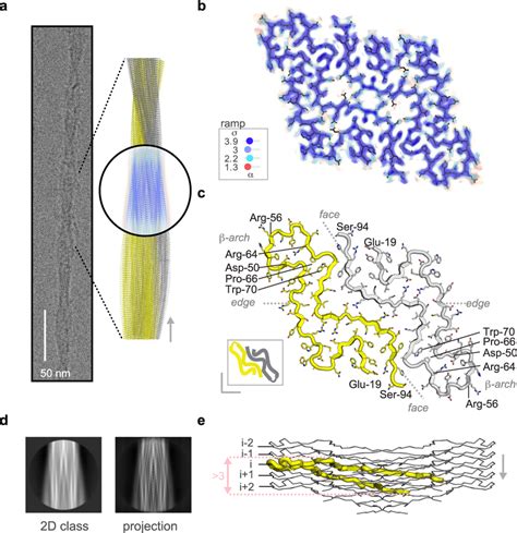 The Resolution Cryo Em Structure Of Cat Aa Amyloid Extracted Post