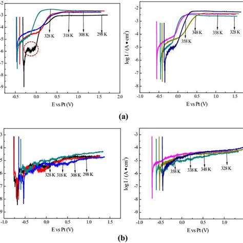 Potentiodynamic Polarization Curves Of The Sample In The Ils At