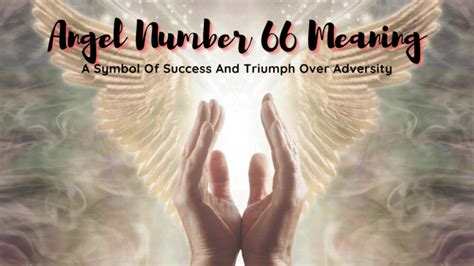 Xploring Secrets Of 66 Angel Number Numerology Hub