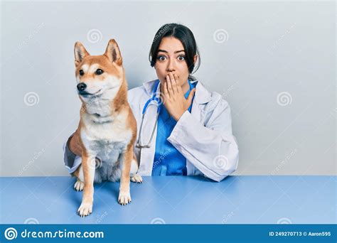 Beautiful Hispanic Veterinarian Woman Checking Dog Health Covering