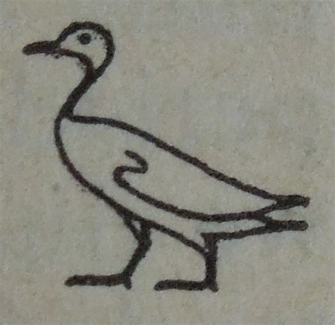 Avian Hieroglyphs In Ancient Egypt Towards Dolly