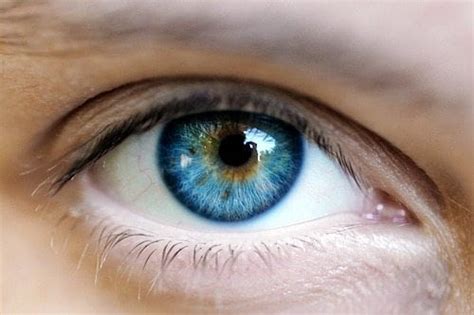 Blue Green Eyes: Learn About This Rare Color | Guy Counseling