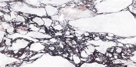 Natura Calacatta Viola Marble Trend Marble Granite Travertine