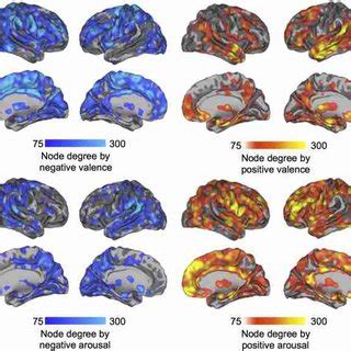 Connectivity graphs showing brain regions whose functional... | Download Scientific Diagram