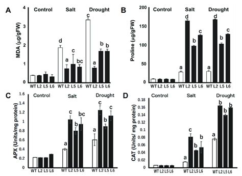 Relative Concentration Of Malondialdehyde Mda Proline And Enzymatic