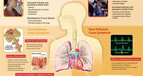 The 13 Health Problems From Air Pollution Some Of Which Likely Affect You