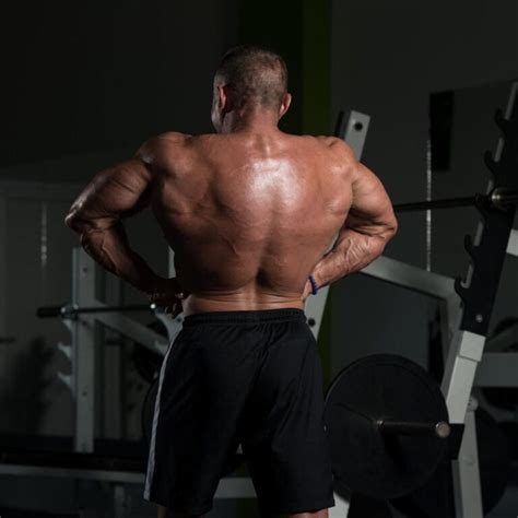 10 Barbell Back Exercises To Build Muscle And Strength Workout Guru