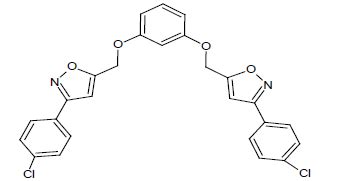 Biological Evaluation of Newly Synthesized Isoxazole Derivatives ...