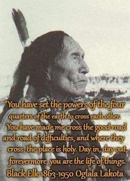 Black Elk S Wisdom 1863 1950 Native American Drawing Native American