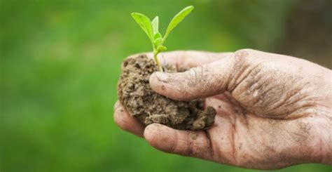 Agricoltura Intensiva Vs Agricoltura Sostenibile Il Video Di Food We