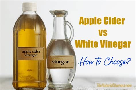 Difference Between Apple Cider Vinegar And White Vinegar For Cleaning Apple Poster