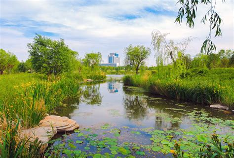 山东安丘汶河湿地景观生态修复与提升 - 湿地与滨水景观 - 首家园林设计上市公司