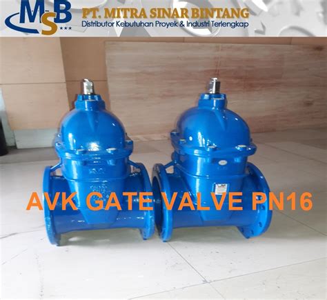 Valve Avk Gate Valve Resilient Pn10 Pt Mitra Sinar Bintang