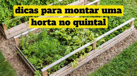 5 Dicas Para Montar Uma Horta No Quintal De Maneira Muito Simples