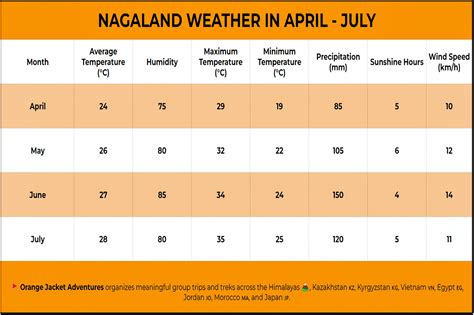 15 Things To Know Before Visiting Nagaland Unlock The Mysteries One In The Orange Jacket