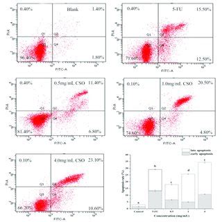 Cell Apoptosis Of HT 29 Cells In The Absence And Presence Of CSO