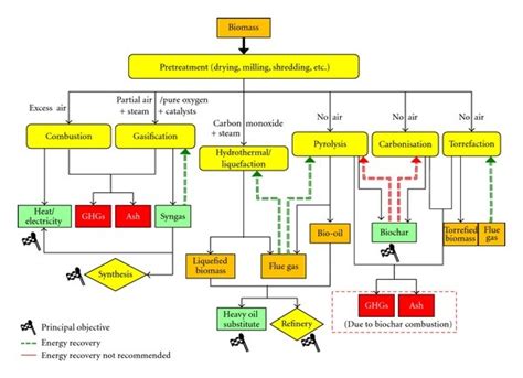 Biomass Thermochemical Conversion Pathways Download Scientific Diagram