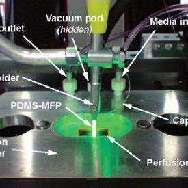 Photograph Of The Microperfusion Setup Mounted On An Inverted