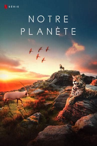 Sur Netflix regarder la série documentaire de Notre Planète est très