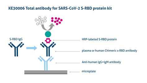 Elisa Kits For Sars Cov Covid Proteintech Group