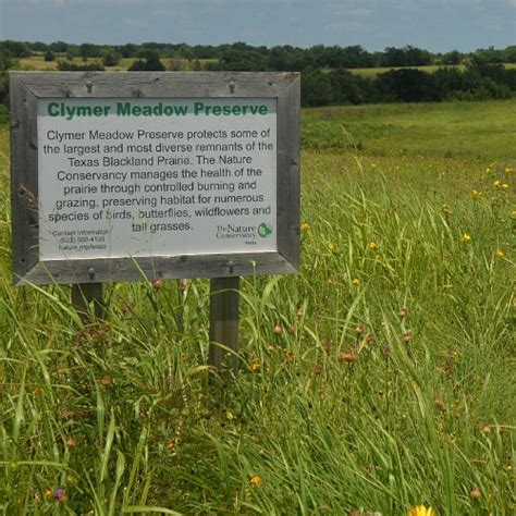 Native Grasses For Texas Gardens Id Pics Pond Informer