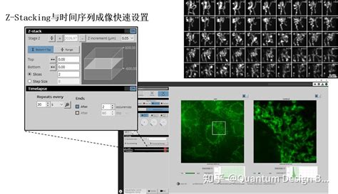 让细胞观测活起来LiveCodim模块化超分辨共聚焦显微镜全新来袭 知乎