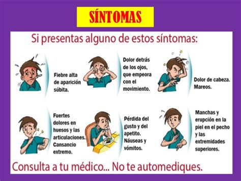 Salud Recuerdan Medidas De Prevención Y Síntomas Del Dengue