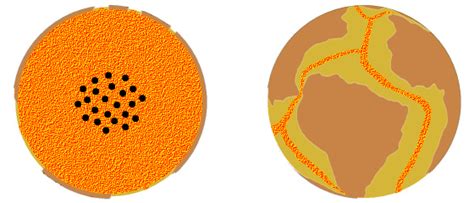 Expanding Earth Hypothesis