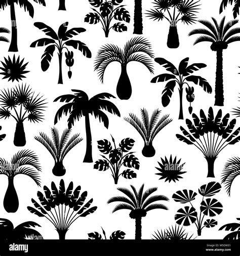 Patr N Sin Fisuras Con Palmeras Tropicales Ilustraci N De Ex Ticas