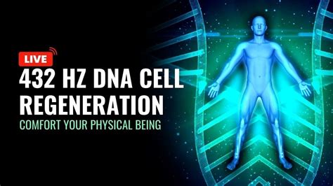 Hz Dna Cell Regeneration Well Balance Your Whole Body Health