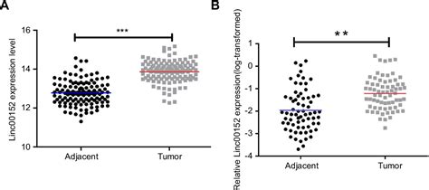 Figure From Upregulation Of Long Noncoding Rna Linc Promotes