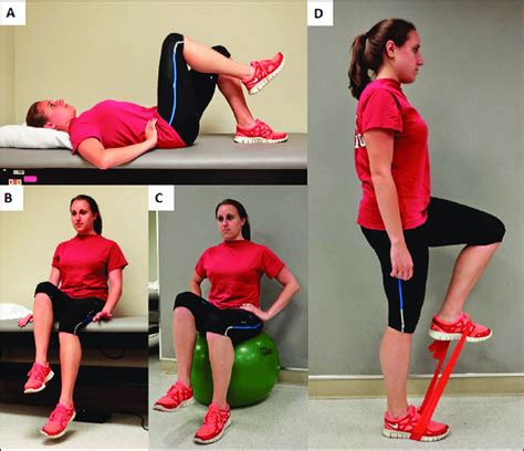 Hip Fl Exion Progression For Iliopsoas Syndrome All Exercises Are | Hot Sex Picture