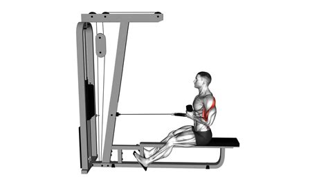 Cable Rope Seated Row Ultimate Exercise Guide Tips