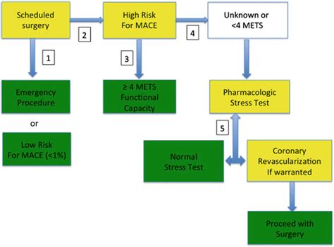 Basic Preoperative Evaluation And Preoperative Management Of The Older