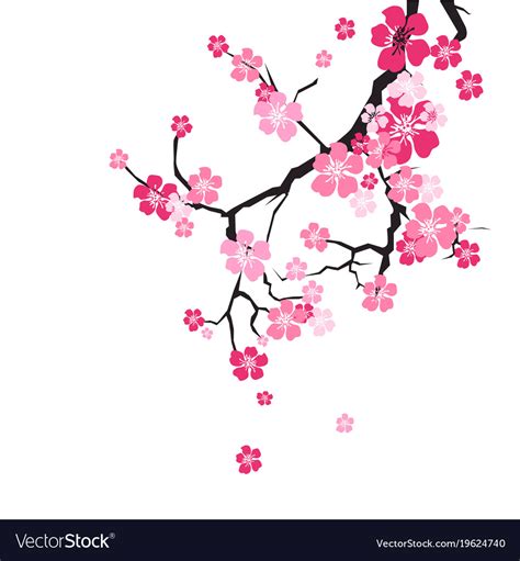 Background Flower Sakura Images Pictures Myweb